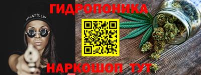 прущие грибы Краснознаменск