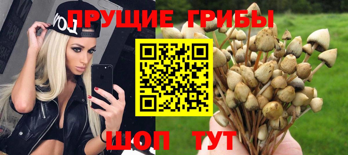 Костомукша  Псилоцибиновые грибы Psilocybe  цена наркотик  Вход с VPN 